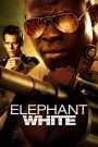 Elephant White (2011) ปมฆ่า ข้ามโลก | เบื้องหลังภารกิจสังหาร คือรอยแผลลึกที่เงินก็ลบไม่ได้