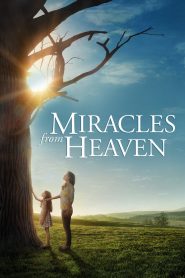 Miracles from Heaven (2016) ปาฏิหาริย์จากสวรรค์ | เมื่อความศรัทธาไม่เคยจากไป แม้ในวันที่เจ็บปวดที่สุด
