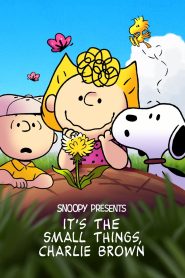 Snoopy Presents: It’s the Small Things, Charlie Brown (2022) บางครั้ง…สิ่งเล็ก ๆ ก็เปลี่ยนโลกของใครบางคนได้