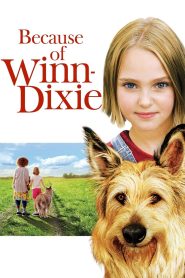 Because of Winn-Dixie (2005) วินน์-ดิ๊กซี่ เพื่อนแท้พันธุ์ตูบ | มิตรภาพเปลี่ยนเมืองเล็กให้เต็มหัวใจ