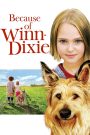 Because of Winn-Dixie (2005) วินน์-ดิ๊กซี่ เพื่อนแท้พันธุ์ตูบ | มิตรภาพเปลี่ยนเมืองเล็กให้เต็มหัวใจ