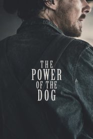 The Power of the Dog (2021) อำนาจบาดเลือดแค้น | ใต้เงาภูเขาหมาป่า ความอ่อนโยนถูกบดขยี้ด้วยอำนาจที่ไม่อาจมองเห็น
