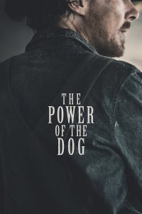 The Power of the Dog (2021) อำนาจบาดเลือดแค้น | ใต้เงาภูเขาหมาป่า ความอ่อนโยนถูกบดขยี้ด้วยอำนาจที่ไม่อาจมองเห็น