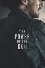The Power of the Dog (2021) อำนาจบาดเลือดแค้น | ใต้เงาภูเขาหมาป่า ความอ่อนโยนถูกบดขยี้ด้วยอำนาจที่ไม่อาจมองเห็น