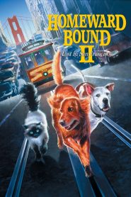 Homeward Bound II: Lost in San Francisco (1996) ผจญภัยสุดป่วน…สัตว์เลี้ยงหลงเมืองใหญ่ | เมื่อสัญชาตญาณนำทาง และหัวใจพากลับบ้าน
