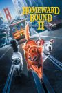 Homeward Bound II: Lost in San Francisco (1996) ผจญภัยสุดป่วน…สัตว์เลี้ยงหลงเมืองใหญ่ | เมื่อสัญชาตญาณนำทาง และหัวใจพากลับบ้าน