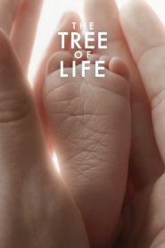 The Tree of Life (2011) ต้นไม้แห่งชีวิต | ชีวิต…จักรวาล…และคำถามที่ไม่มีวันได้คำตอบ