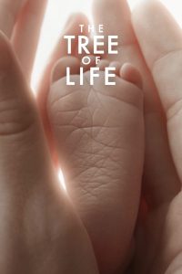 The Tree of Life (2011) ต้นไม้แห่งชีวิต | ชีวิต…จักรวาล…และคำถามที่ไม่มีวันได้คำตอบ