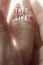 The Tree of Life (2011) ต้นไม้แห่งชีวิต | ชีวิต…จักรวาล…และคำถามที่ไม่มีวันได้คำตอบ