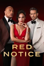 Red Notice (2021) เร้ด โนติส | เมื่อสายลับ โจร และนักต้มตุ๋น ต้องร่วมมือกันอย่างไม่เต็มใจ เพื่อภารกิจที่ไม่มีใครไว้ใจใคร