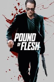 Pound of Flesh (2015) มหาประลัยทวงเดือด “เมื่อเขาถูกปล้นไต สิ่งที่ถูกปล้นไป…จะต้องถูกทวงคืนด้วยเลือด”