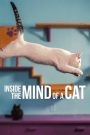 Inside the Mind of a Cat (2022) คิดแบบแมวๆ เมื่อมนุษย์อยากเข้าใจ “เจ้านาย” ให้ลึกซึ้งถึงระดับสมอง หนังสารคดีเรื่องนี้คือคำตอบที่นุ่มนวลและคมคาย