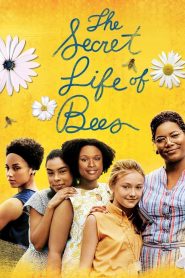The Secret Life of Bees (2008) สูตรรักรสน้ำผึ้ง | เมื่อหัวใจแห้งแล้งได้หล่อเลี้ยงด้วยความรัก… และการให้อภัย