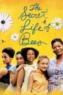 The Secret Life of Bees (2008) สูตรรักรสน้ำผึ้ง | เมื่อหัวใจแห้งแล้งได้หล่อเลี้ยงด้วยความรัก… และการให้อภัย