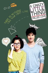 สิ่งเล็กเล็กที่เรียกว่า…รัก A Little Thing Called Love (2010) รักแรก มักเจ็บเบา ๆ แต่ลึกนาน