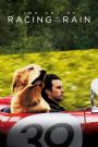 The Art of Racing in the Rain (2019) อุ่นไอหัวใจตูบ | บางชีวิตอาจพูดไม่ได้…แต่กลับเข้าใจเราได้ลึกยิ่งกว่าใคร