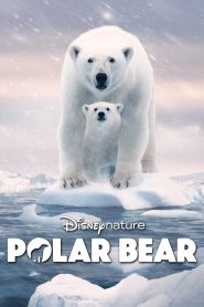 Polar Bear (2022) แม่หมีขาวกลางธารน้ำแข็ง | บันทึกแห่งความรัก ความกล้าหาญ และการอยู่รอดของชีวิตที่กำลังจะจางหาย