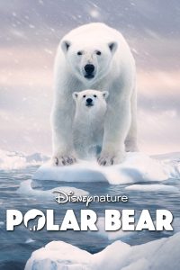 Polar Bear (2022) แม่หมีขาวกลางธารน้ำแข็ง | บันทึกแห่งความรัก ความกล้าหาญ และการอยู่รอดของชีวิตที่กำลังจะจางหาย