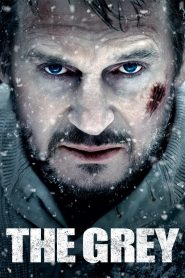 The Grey (2011) ฝ่าฝูงเขี้ยวสยองโลก | เมื่อธรรมชาติโหดร้ายเกินกว่าจะหนี… และความตายคือสิ่งที่ไล่ล่าไม่หยุด