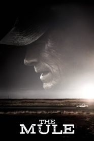 The Mule (2018) เดอะ มิวล์ | ลุงขนของ คนชรา กับเส้นทางที่ไม่มีวันย้อนกลับ