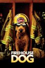 Firehouse Dog (2007) ยอดคุณตูบ ฮีโร่นักดับเพลิง | เมื่อฮอลลีวูดสตาร์ 4 ขา ต้องมากู้ศรัทธาและหัวใจผู้คนด้วยหัวใจนักผจญเพลิง
