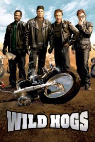 Wild Hogs (2007) สี่เก๋าซิ่งลืมแก่ | เมื่อวัยกลางคนขอแหกกรอบชีวิตแบบมันส์สะใจ