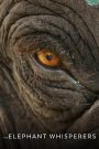 The Elephant Whisperers (2022) คนกล่อมช้าง: สัมผัสสายใยระหว่างคนกับช้าง ที่อบอุ่นยิ่งกว่าคำว่า “ครอบครัว”