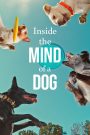 Inside the Mind of a Dog (2024) อ่านใจสุนัข | เมื่อสายตาไม่ได้สื่อแค่อารมณ์ แต่เป็นหน้าต่างสู่โลกของหัวใจหมา