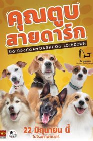 คุณตูบสายดาร์ก ปิดเมืองกัด Darkdog Lockdown (2023) เมื่อหมาผู้ภักดี กลายเป็นเงาแห่งความตาย