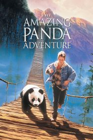 The Amazing Panda Adventure (1995) แพนด้าน้อยผจญภัยสุดขอบฟ้า | เด็กชายหนึ่งคน หัวใจหนึ่งดวง และมิตรภาพที่เปลี่ยนชีวิตตลอดกาล