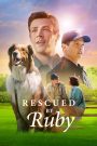 Rescued by Ruby (2022) รูบี้มาช่วยแล้ว | เมื่อหัวใจนักสู้ไม่ได้มีแค่สองขา