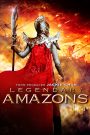 Legendary Amazons (2011) ศึกทะลุฟ้าตระกูลหยาง เมื่อวีรสตรีแห่งตระกูลหยาง ลุกขึ้นถือดาบแทนบุตรสามี สู้ศึกเพื่อปกป้องแผ่นดิน