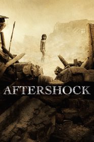 Aftershock (2010) 1976 มหาภิบัติ สิ้นแผ่นดิน | เมื่อแผ่นดินแยกครอบครัว…แต่หัวใจยังคงเชื่อมโยง