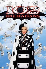 102 Dalmatians (2000) 102 จุดจุ้น..วุ่นเกินร้อย | เมื่อความน่ารักแสนซนต้องเผชิญกับแผนชั่วครั้งใหม่ของครูเอลล่า
