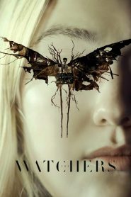 The Watchers (2024) เดอะ วอทเชอร์ส | เงาลับในป่าเงียบ เสียงกระซิบจากสิ่งที่ไม่อาจมองเห็น