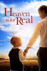Heaven Is for Real (2014) สวรรค์มีจริง | เมื่อเด็กชายตัวเล็ก ๆ กลับมาจากความตาย… พร้อมเรื่องเล่าจาก “อีกฝั่งของชีวิต” ที่ไม่มีใครกล้าคิดว่าเป็นไปได้