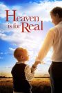 Heaven Is for Real (2014) สวรรค์มีจริง | เมื่อเด็กชายตัวเล็ก ๆ กลับมาจากความตาย… พร้อมเรื่องเล่าจาก “อีกฝั่งของชีวิต” ที่ไม่มีใครกล้าคิดว่าเป็นไปได้