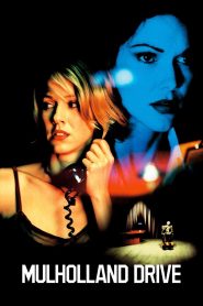 Mulholland Drive (2001) ปริศนาแห่งฝัน | ความจริงลวงในโลกมายาอันวิปลาส
