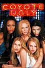 Coyote Ugly (2000) บาร์ห้าวสาวฮ็อต — จุดไฟฝันด้วยเสียงเพลง และจังหวะหัวใจที่เต้นแรงกลางบาร์สุดเดือด