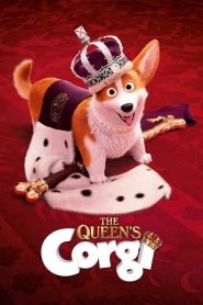 The Queen’s Corgi (2019) จุ้นสี่ขา หมาเจ้านาย | จากวังหลวงสู่ชีวิตหมาข้างถนน…ภารกิจฮาของเจ้าชายสี่ขา