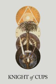 Knight of Cups (2015) ผู้ชาย ความหมาย ความรัก | เมื่อชีวิตแสนหรูหราไม่อาจกลบเสียงเรียกของหัวใจ