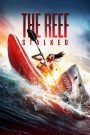 The Reef: Stalked (2022) ครีบพิฆาต ทะเลสวยอาจน่าเที่ยว แต่คลื่นเงียบ ๆ อาจซ่อนนักล่าที่ไร้ความปรานี