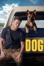 Dog (2022) เพื่อนกันพันธุ์ห้าว | เมื่อการเดินทางของอดีตทหารกล้ากลายเป็นบทพิสูจน์หัวใจของทั้งคนและหมา
