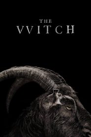The Witch (2016) อาถรรพ์แม่มดโบราณ | ศรัทธา สาปแช่ง และครอบครัวที่ถูกกลืนหาย