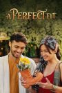 A Perfect Fit (2021) รองเท้ากับความรัก | เมื่อหัวใจเลือกไซซ์ไม่ได้ แต่โชคชะตาใส่พอดีเป๊ะ
