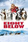 Eight Below (2006) ปฏิบัติการ 8 พันธุ์อึดสุดขั้วโลก | มิตรภาพเหนือขีดจำกัด ท่ามกลางหิมะและความหวังสุดปลายขอบฟ้า