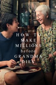 หลานม่า How to Make Millions Before Grandma Dies (2024) สมบัติไม่ใช่เป้าหมาย…แต่หัวใจต่างหากที่ต้องคว้าให้ทันเวลา