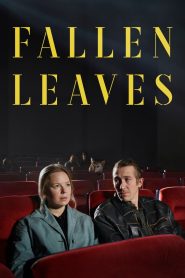 Fallen Leaves (2023) โรงหนัง คนเหงา เรา 2 คน | เมื่อความรักคือความบังเอิญที่อ่อนโยนที่สุดในโลก