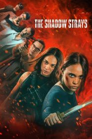 The Shadow Strays (2024) นักฆ่าเงาล่าทรชน | เมื่อความยุติธรรมไม่เคยมีที่อยู่ในระบบ คนจากเงามืดจึงต้องออกมาล่า