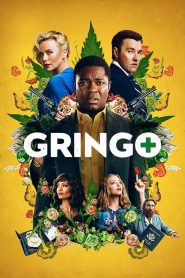 Gringo (2018) กริงโก้ซวยสลัด | เมื่อคนดีๆ…ตัดสินใจทำเรื่องเลวๆ แค่ครั้งเดียว